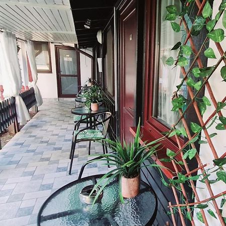 Pensiunea Red Rose Apartments Timişoara Exteriör bild