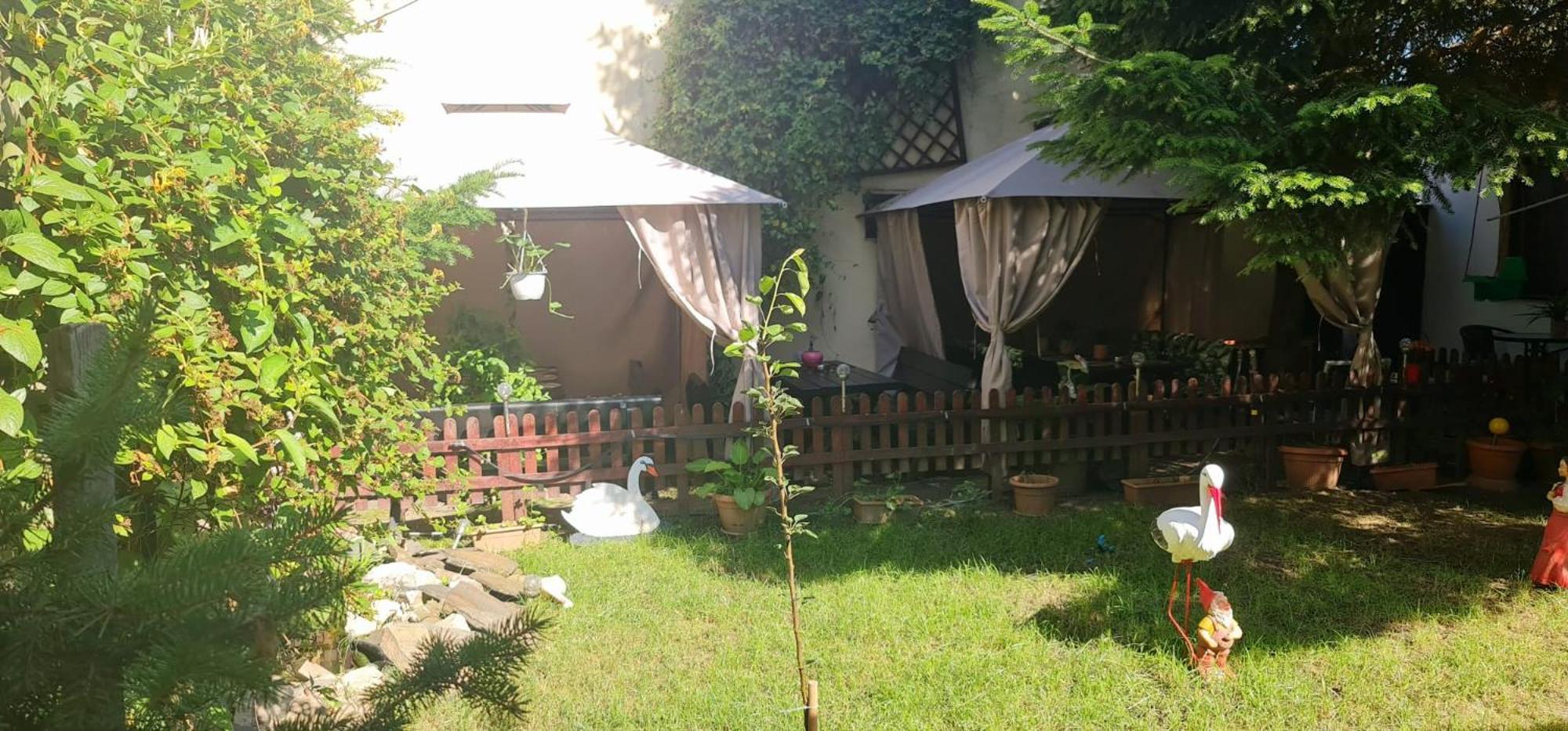 Pensiunea Red Rose Apartments Timişoara Exteriör bild