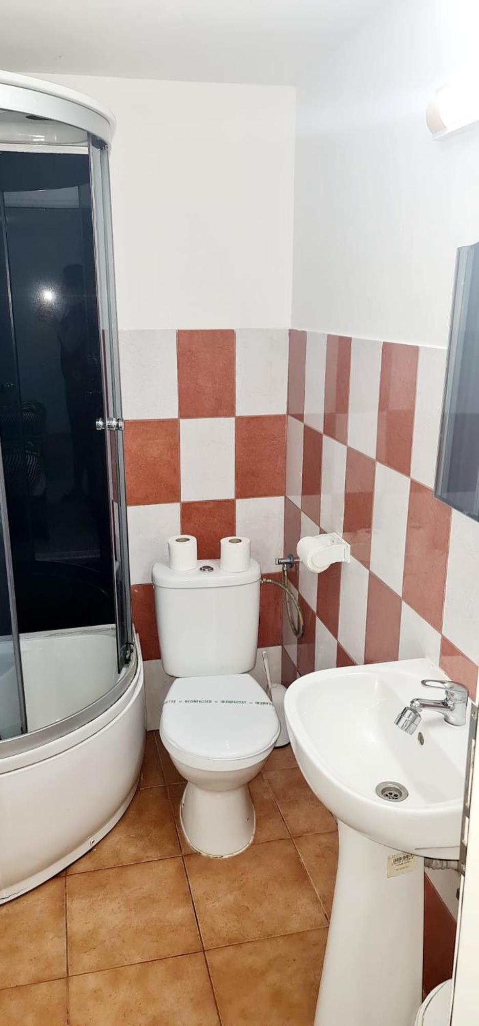 Pensiunea Red Rose Apartments Timişoara Exteriör bild