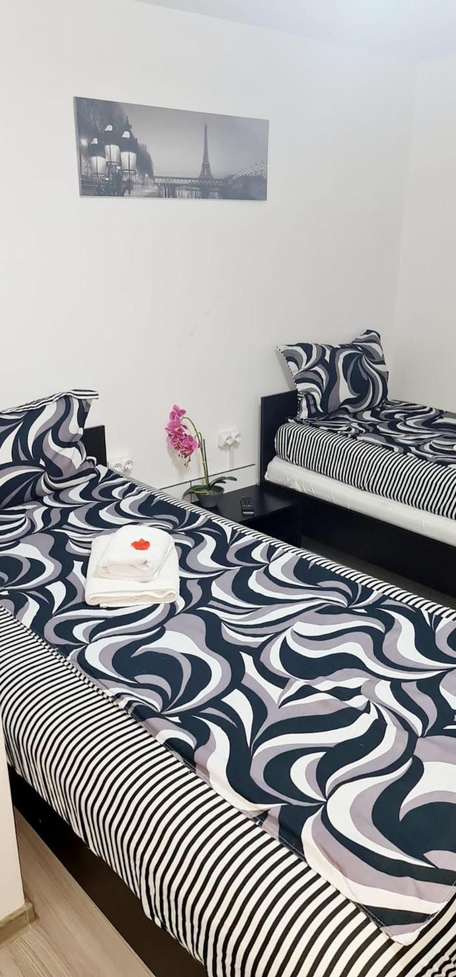 Pensiunea Red Rose Apartments Timişoara Exteriör bild