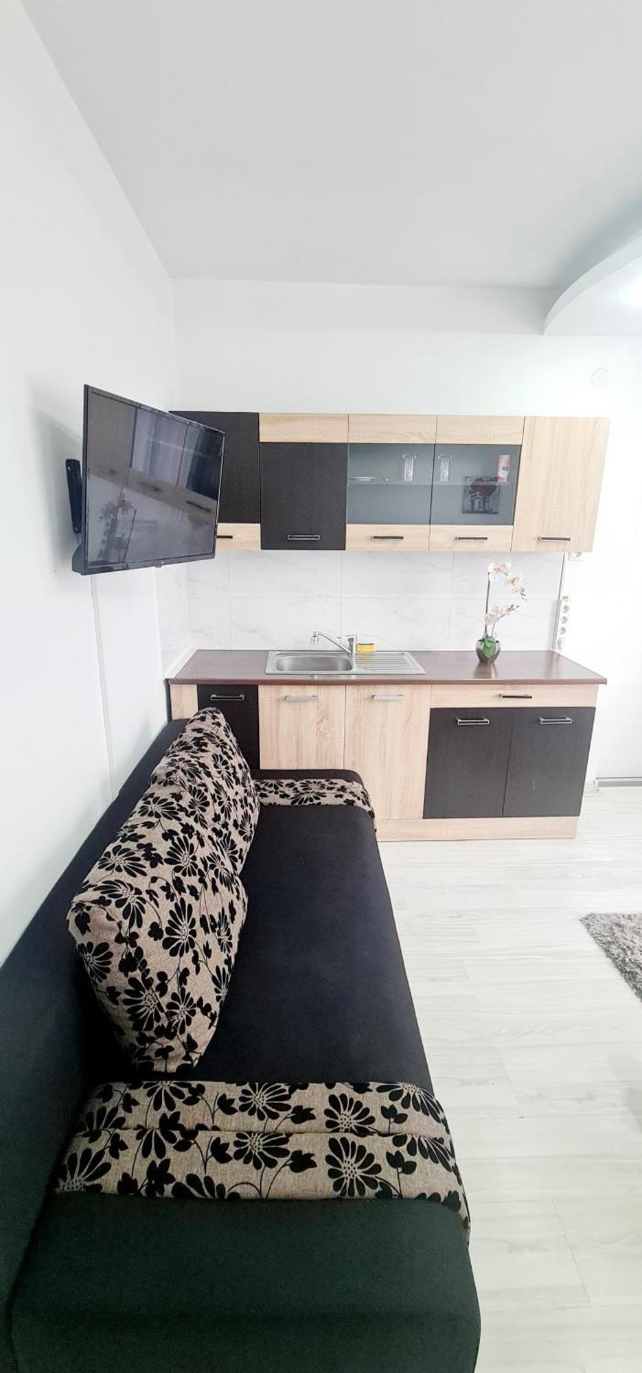 Pensiunea Red Rose Apartments Timişoara Exteriör bild